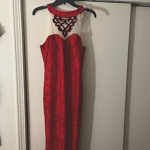 Long red gown lace fabric mermaid style.